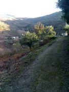 camino de la iglesia de Santa Mara 